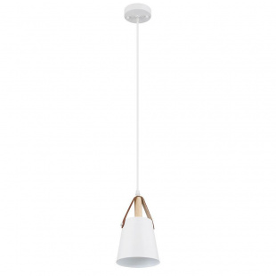 Подвесной светильник Arte Lamp THOMAS A7032SP-1WH