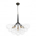 Подвесная люстра Loft IT Bunch 10048/6 Black