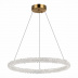 Подвесной светодиодный светильник ST Luce Avana SL6110.213.01