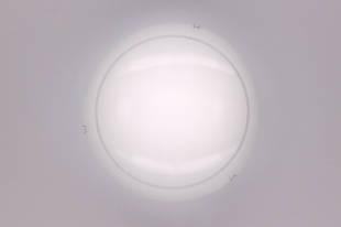 Настенно-потолочный светильник Citilux Лайн CL917081