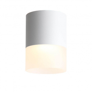 Накладной светодиодный светильник ST Luce Ottu ST100.542.15