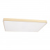Потолочный светодиодный светильник Loft IT Flims 10228/E